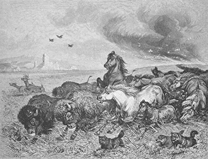 Wild horses and bison flee in panic from a prairie fire