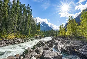 Wild river in Yoho Valley, Beautiful weather