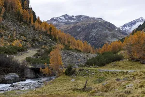 Wild Susasca, torrent below the Flueela Pass