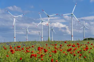 Wind farm, field with flower strips