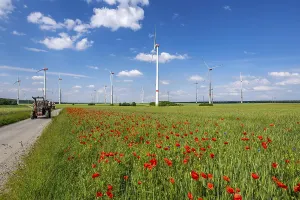 Wind farm, field with flower strips