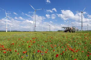Wind farm, field with flower strips