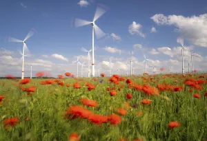 Wind farm, field with flower strips