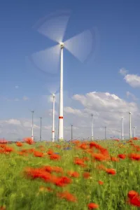 Wind farm, field with flower strips