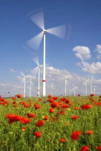 Wind farm, field with flower strips