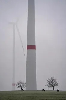 Wind farm in the fog, dark doldrums