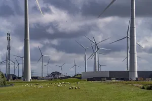 Wind farms Westereems and Growind