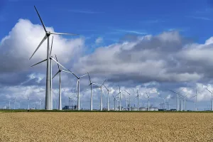 Wind farms Westereems and Growind