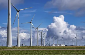 Wind farms Westereems and Growind