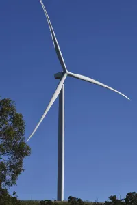 Wind turbines at the Coopers Gap Wind Farm