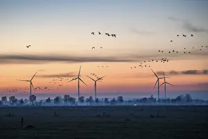 Wind turbines at dusk with flying birds and trees in the background