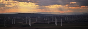 Category Mountain Landscapes Prints: Wind turbines and fields, seen from Hundsheimer Berg
