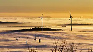 Wind turbines and forest rising from cloud cover