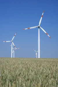 Wind turbines in a grain field, seen in Germany