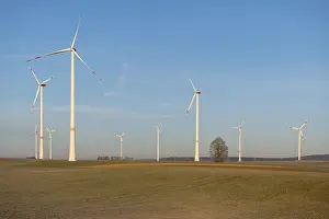 Wind turbines in open landscape with clear sky behind a row of trees