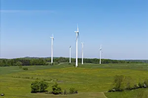 Wind turbines stand on a green area