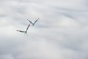 Wind turbines sticking out of the fog