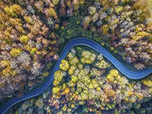 Winding country road through a forest with autumn-coloured trees