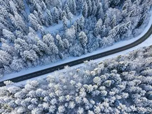Winding road meanders through snow-covered trees in the winter forest