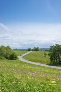 A winding road near St