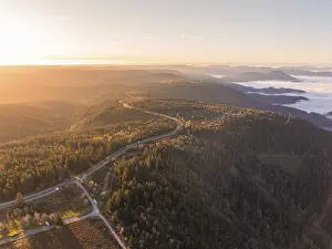 A winding road winds through dense forests in a misty mountain landscape