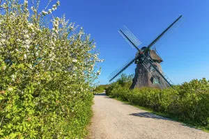 Windmill Charlotte, earthen bollard from 1826