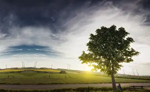 Windmill in the field, five windmill with solar plants
