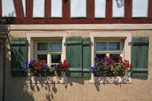 Window with flowering geraniums (Pelargonium) on a hop farmhouse