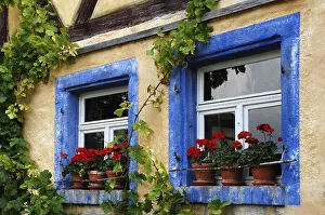 Window with geraniums on the Haeckerhaus built in 1717