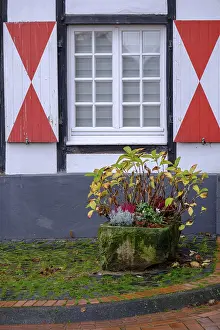 Window of a half-timbered house with a pot full of autumnal plants