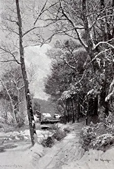 Winter atmosphere in Ilsethal, Ilsetal in the Harz Mountains
