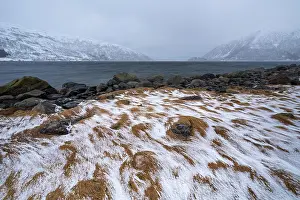 In winter at the coast, Fjord Sjorfjorden