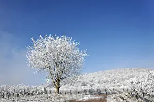 A winter day