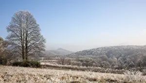 A winter day in the Palatinate Forest