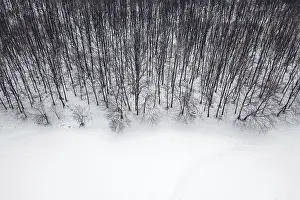 Winter forest from above. Aerial view forest and snow