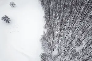 Winter forest from above. Aerial view forest and snow