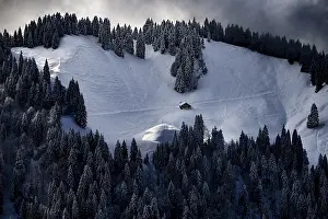 Category Forests Prints: Winter forest with mountain hut
