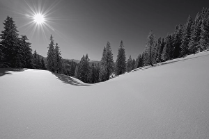 Winter forest with mountain range in backlight