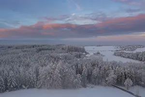 Winter forest near Eurasburg, winter at sunrise