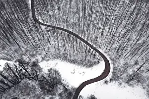 Winter forest and Road. Top view