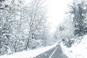 Winter forest snow road. Forest road winter snow view