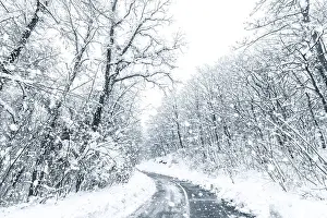 Winter forest snow road. Forest road winter snow view