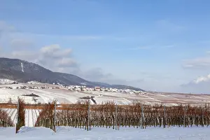 Winter on the German Wine Route