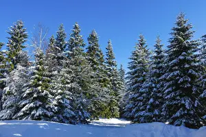 Winter in the Giant Mountains near Benecko