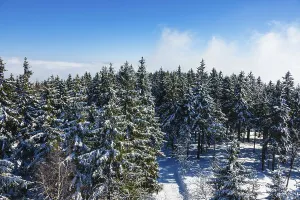 Winter in the Giant Mountains near Benecko