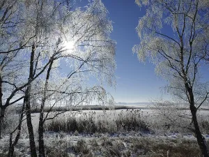 Winter in heavy frost through the Elbe valley