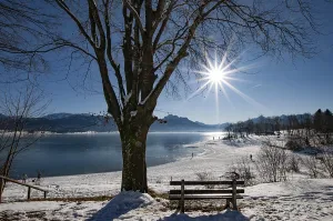 Category Mountain Landscapes Prints: Winter idyll on Lake Forggensee in the Allgaeu