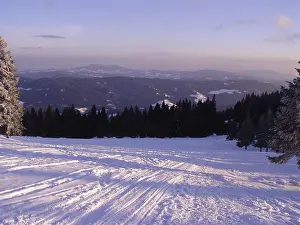Winter landscape
