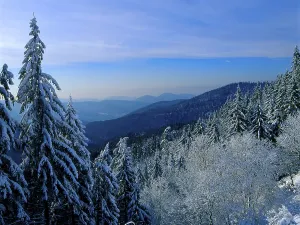 Winter landscape in the Black Forest