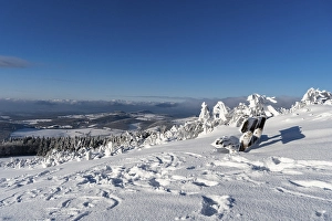 Category Mountain Landscapes Prints: Winter landscape in the centre of Germany - the Wasserkuppe in the Rhoen8